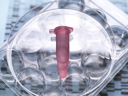 [GEN - BXP2100-GAS] pHTS-hygro-GAS