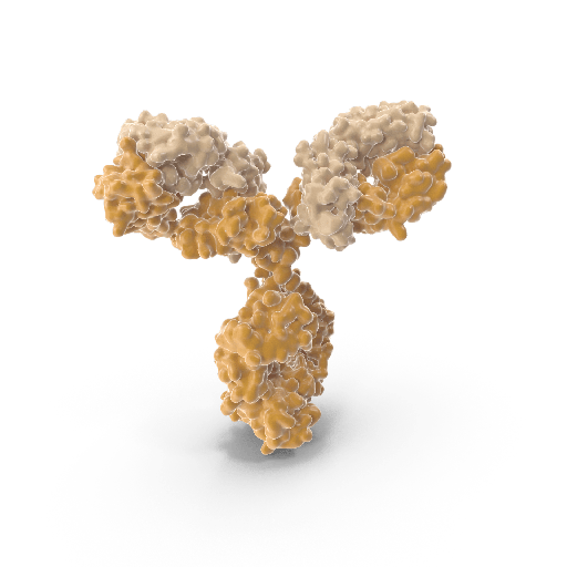 [0708-AFC-TAB-236-500UG] Afuco Antisize:CD38 ADCC Recombinant Antibody  Daratumumab , ADCC Enhancedsize:LOT/BATCH CB2208C21, 500 µg