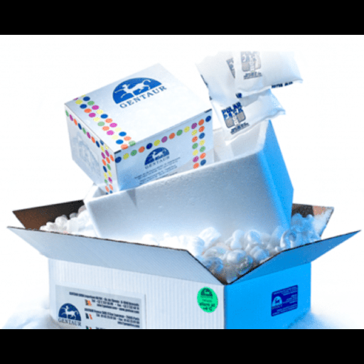 [0007-AP-30-10] Amino Polystyrene Particles, 5% w/v, 3.0size:3.4 um, 10 mL